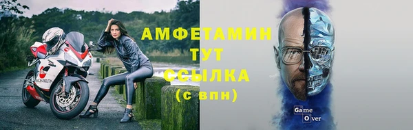 стаф Бородино
