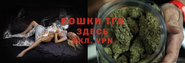 стаф Бородино