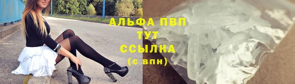 стаф Бородино