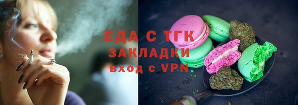 стаф Бородино