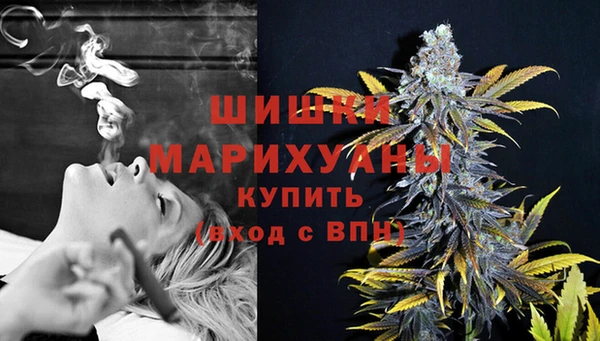 стафф Бронницы