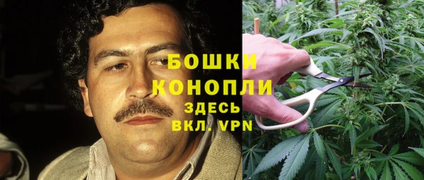 стаф Бородино