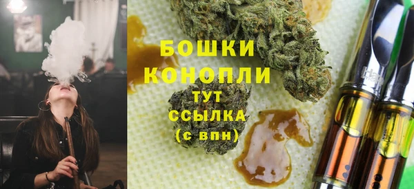 стаф Бородино
