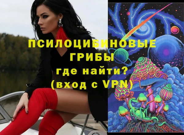 стаф Бородино