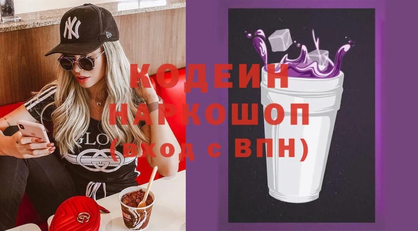 стаф Бородино